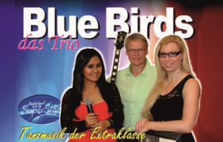 Duo_Blue_Birds_Trio
